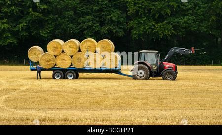 Traktor trækker trailer med halmballer på mark. En mand står ved traileren.